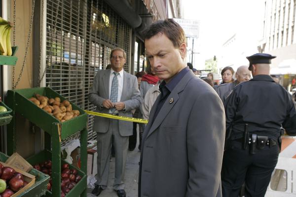 Náhľad obrázku relácie CSI: Kriminálka New York V (10)