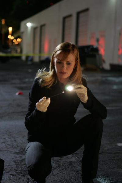 Náhľad obrázku relácie CSI: Kriminálka Las Vegas V (24)